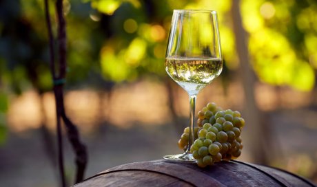 Vente de vins blancs pour restaurateurs et professionnels