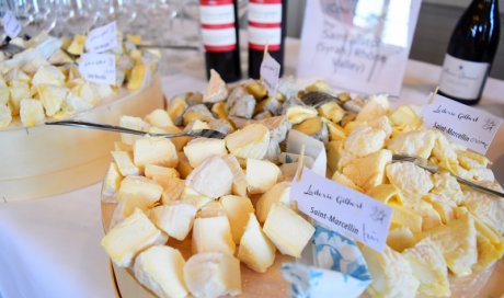 Cours de découverte des régions vins et fromage Lyon